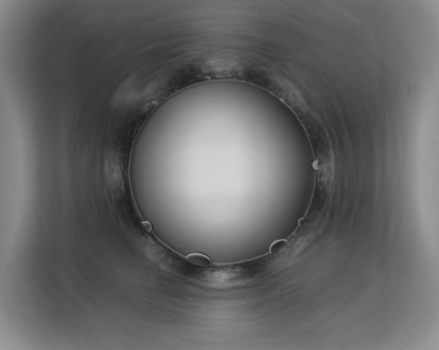 X0000113150662200909110955