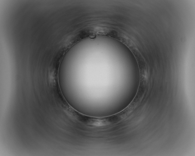 X0000113150663200909110955