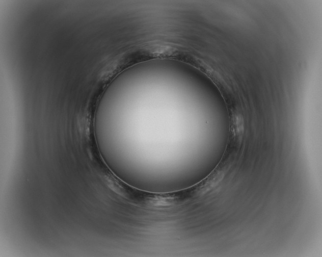 X0000113150664200909110955