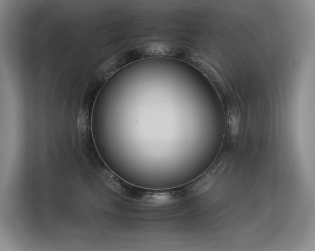 X0000113150665200909110955