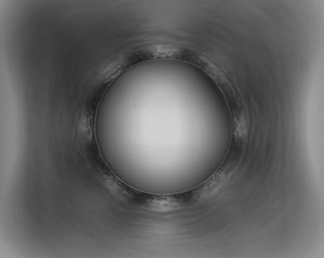 X0000113150666200909110955