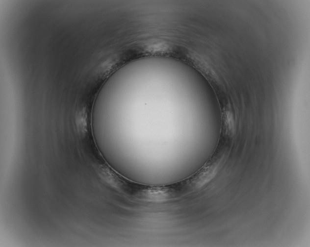 X0000113150668200909110955