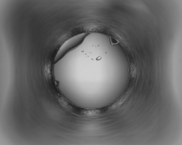 X0000113150670200909110955