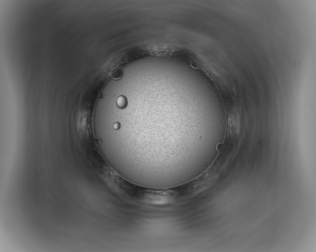 X0000113150671200909110955