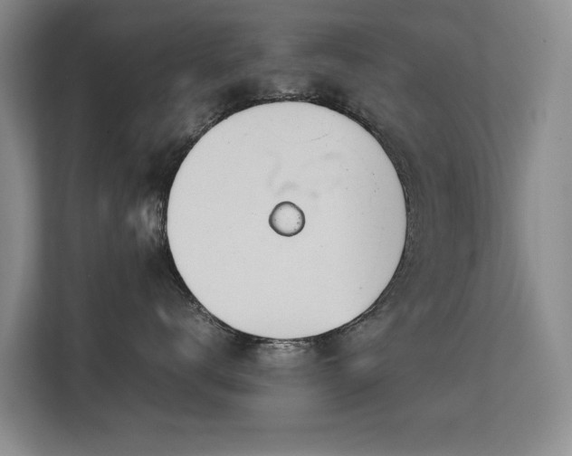 X0000113150672200909110955