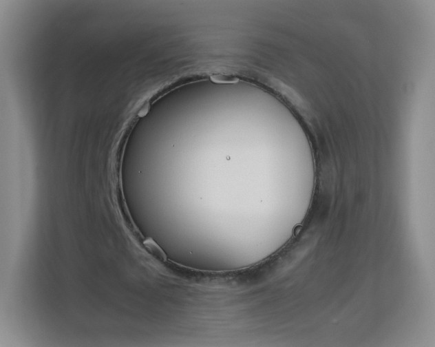 X0000113150673200909110954