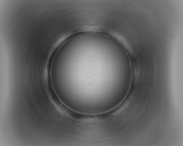 X0000113150674200909110954