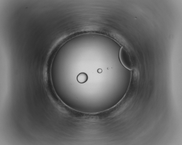 X0000113150676200909110954