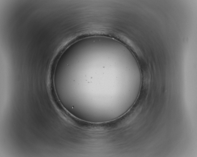 X0000113150677200909110954