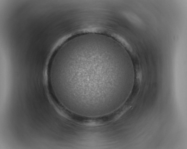 X0000113150678200909110954