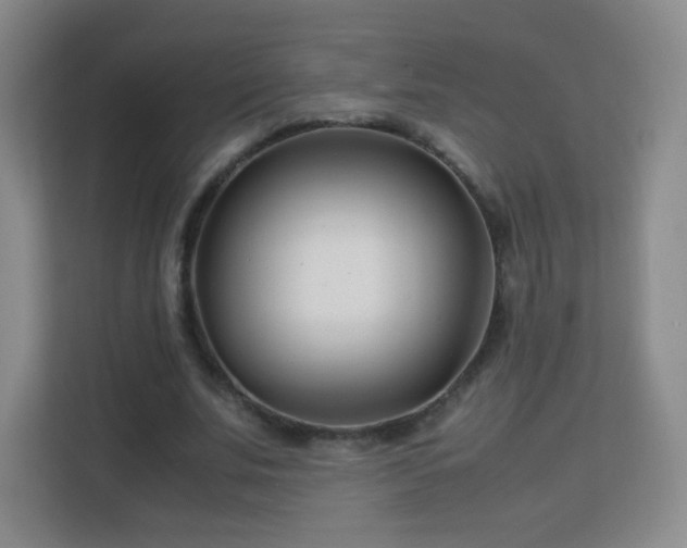 X0000113150679200909110954