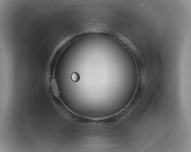 X0000113150680200909110954