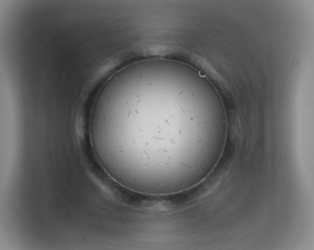 X0000113150683200909110954