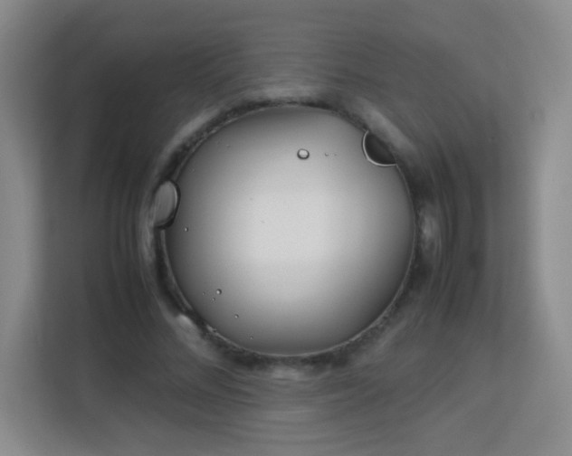 X0000113150684200909110954