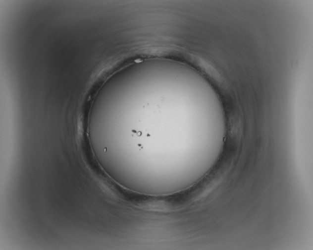 X0000113150685200909110954