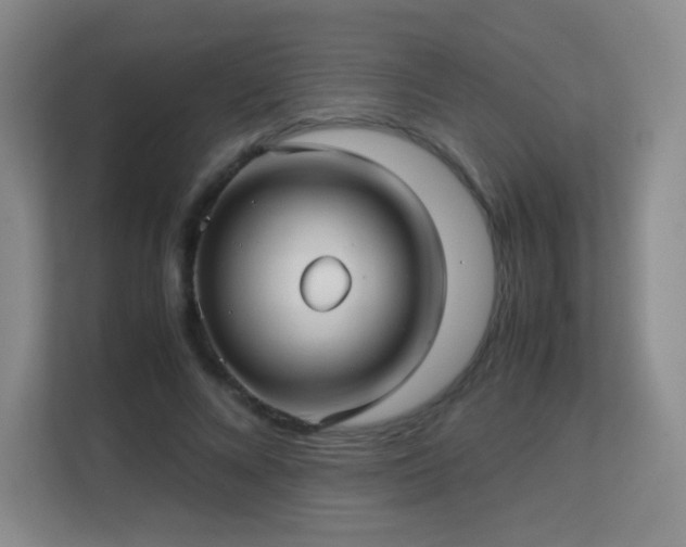 X0000113150688200909110954