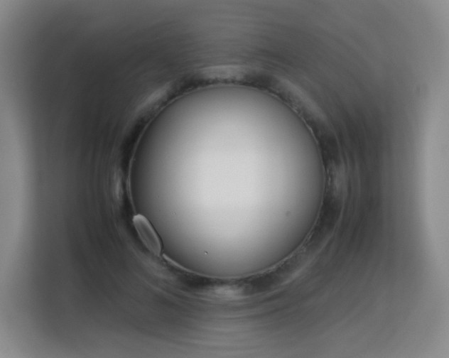 X0000113150692200909110954