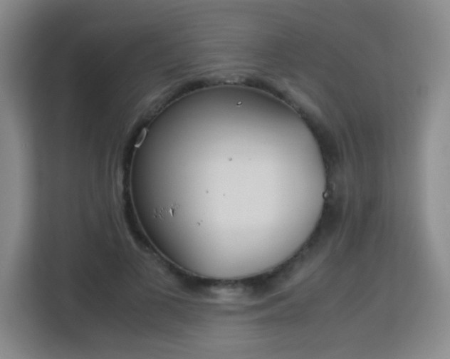 X0000113150693200909110954