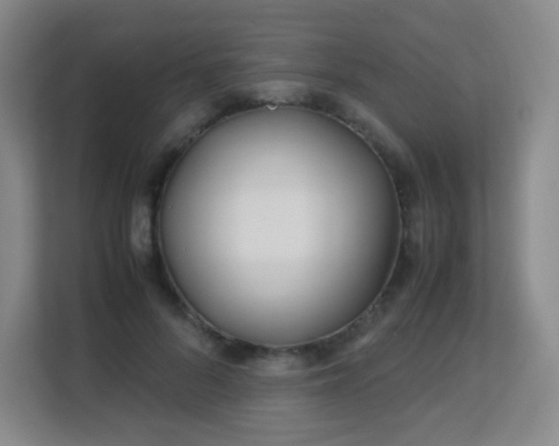 X0000113150696200909110954