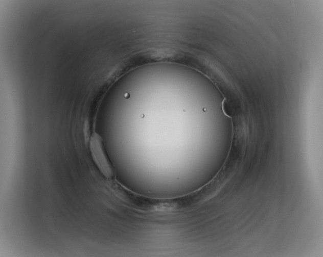 X0000113150700200909110954