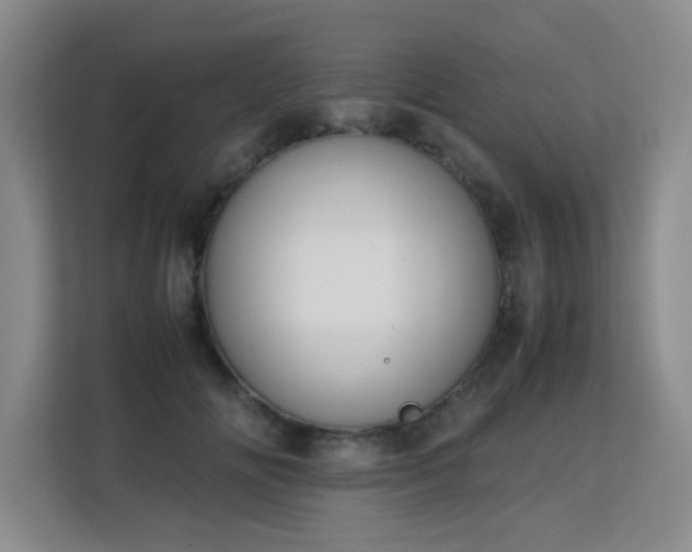 X0000113150702200909110954