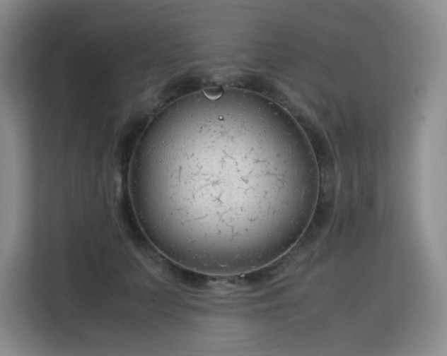 X0000113150703200909110954