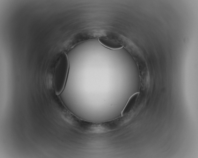 X0000113150704200909110954