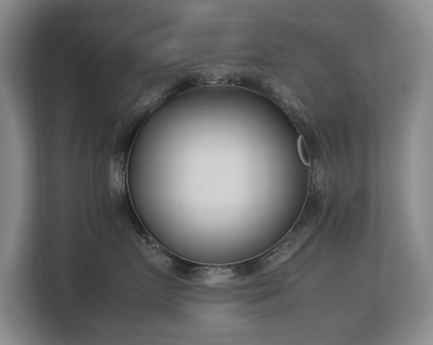 X0000113150719200909110954