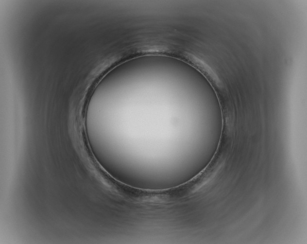 X0000113150721200909110953