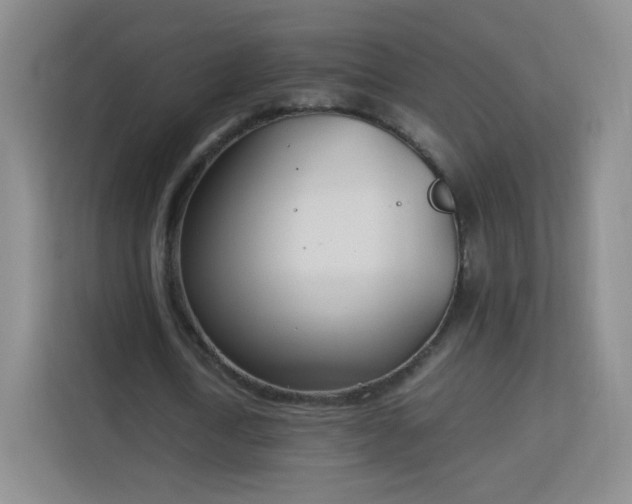 X0000113150722200909110953