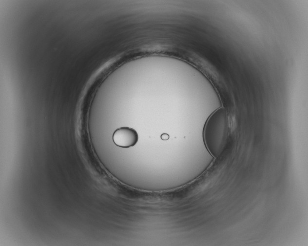 X0000113150724200909110953