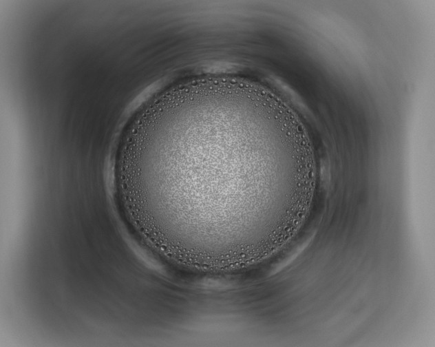 X0000113150725200909110953