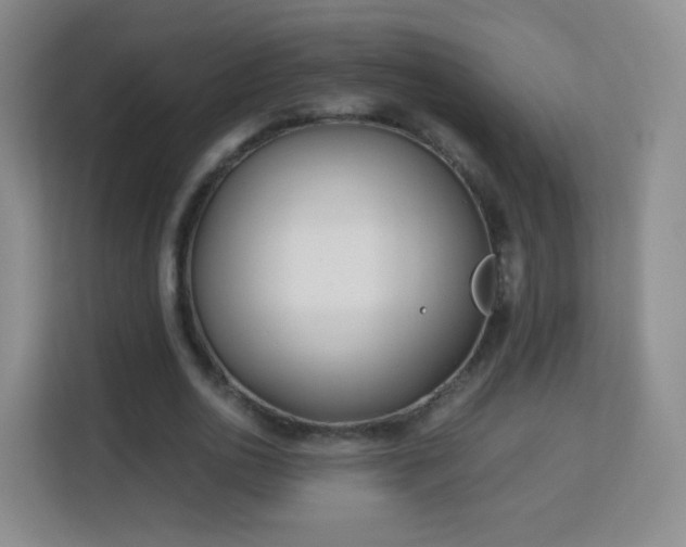 X0000113150726200909110953