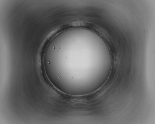 X0000113150727200909110953