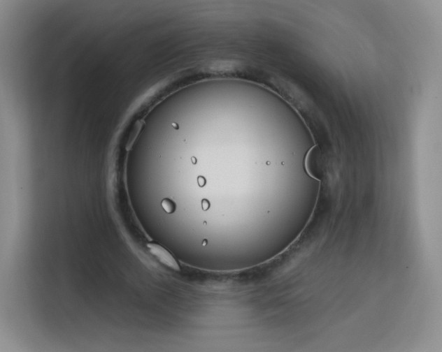 X0000113150728200909110953