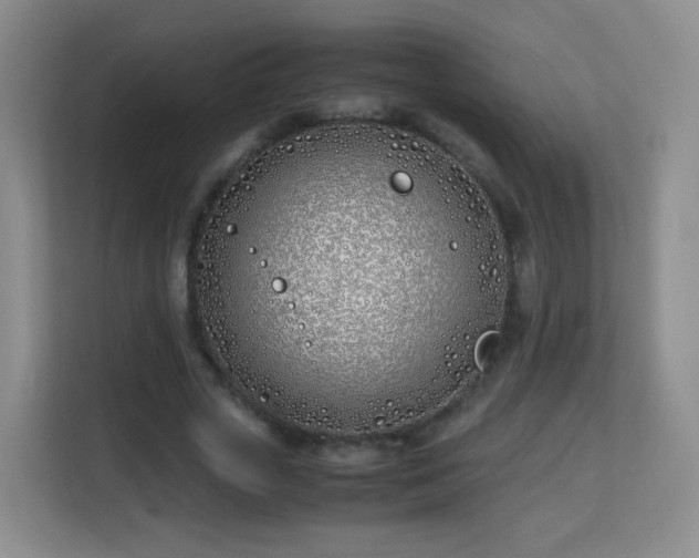 X0000113150729200909110953