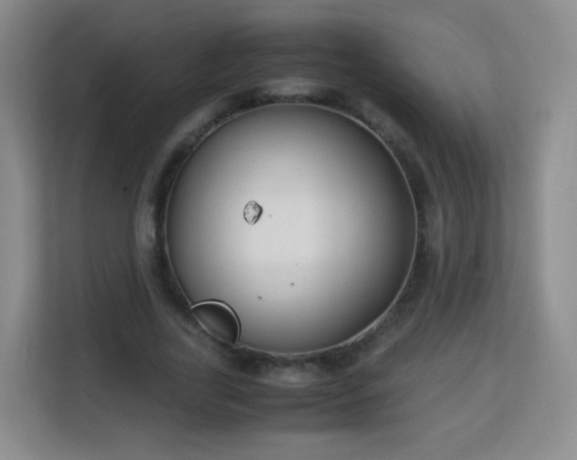 X0000113150731200909110953