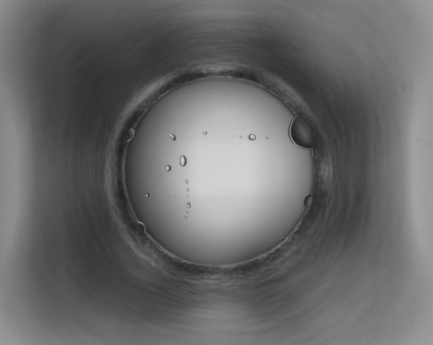 X0000113150732200909110953