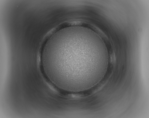 X0000113150733200909110953