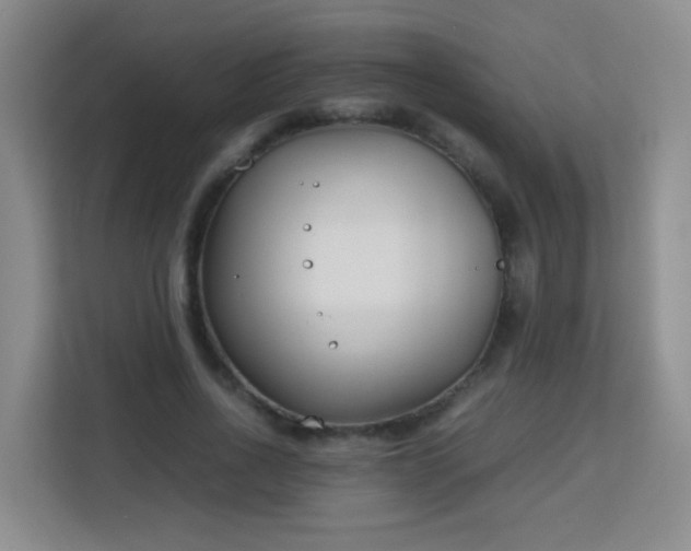 X0000113150734200909110953