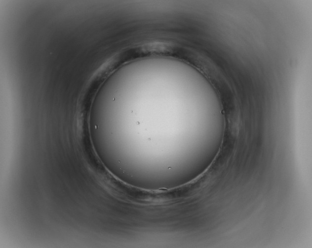 X0000113150735200909110953