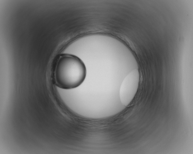 X0000113150736200909110953