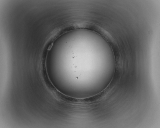 X0000113150738200909110953