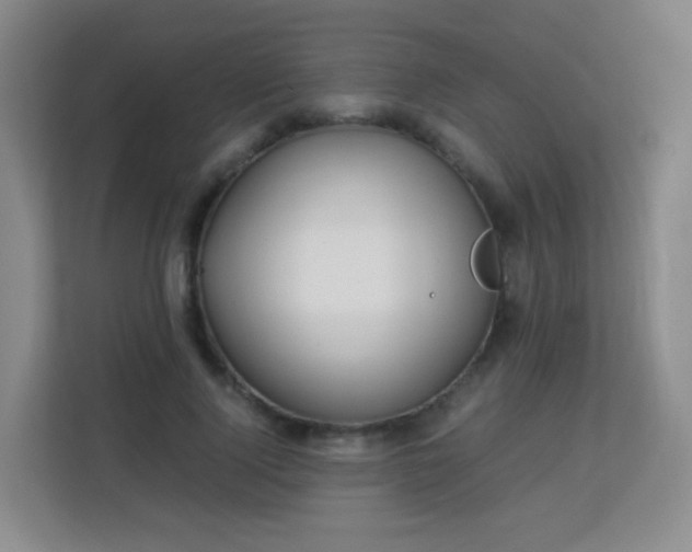 X0000113150740200909110953