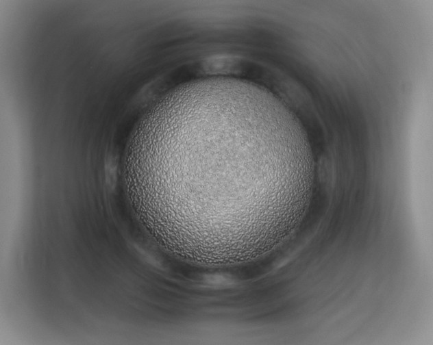 X0000113150741200909110954