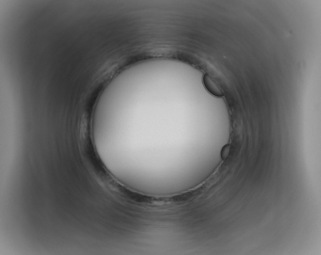 X0000113150744200909110954