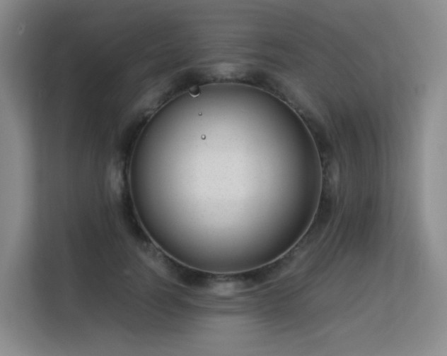 X0000113150746200909110954