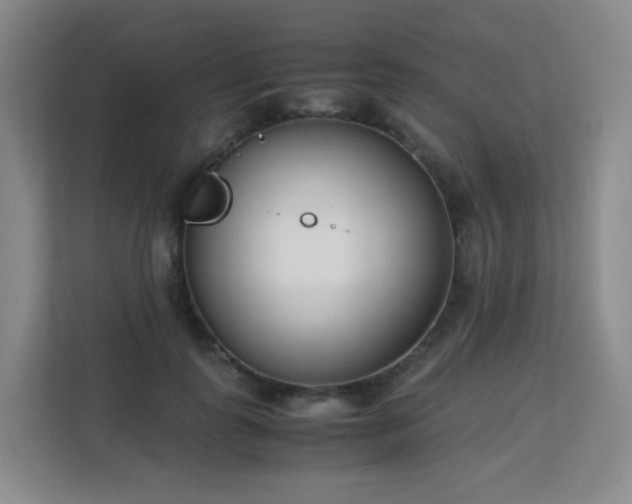 X0000113150747200909110954