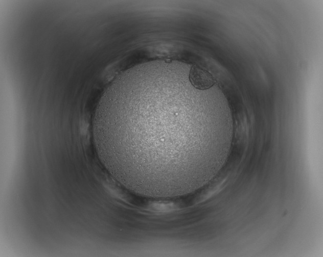 X0000113150749200909110954