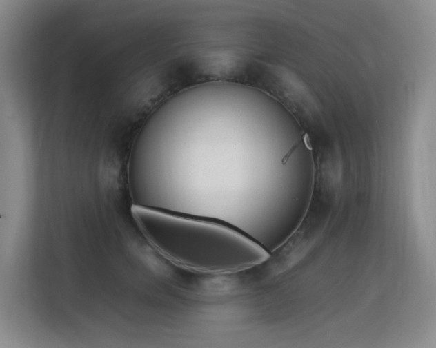 X0000113150750200909110954